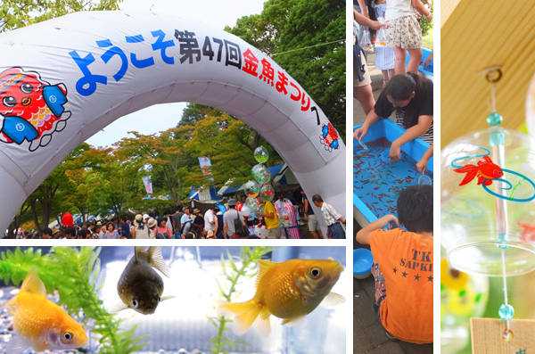 全国選りすぐりマーケット Vol 1 江戸川区特産金魚まつり コジマルシェ ヨミモノ フリマガイド